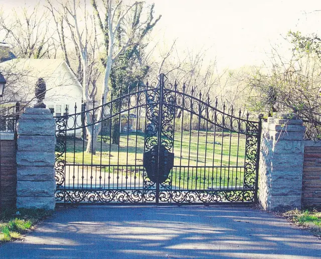 Ornate wrought iron gate with custom crest - Elantra Gate Systems